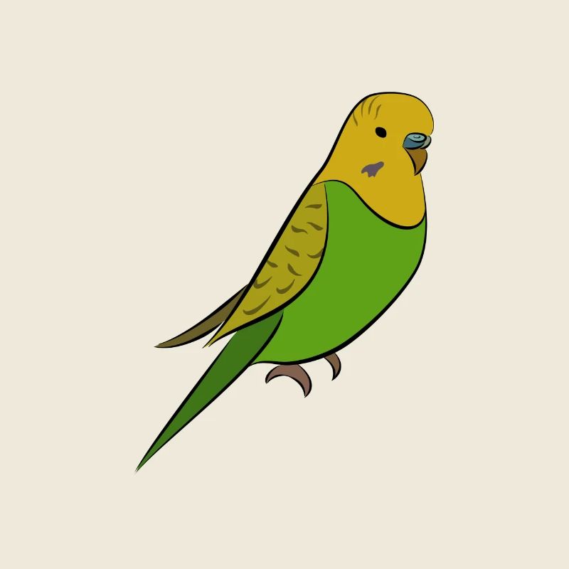Perruche - perruche jaune vert