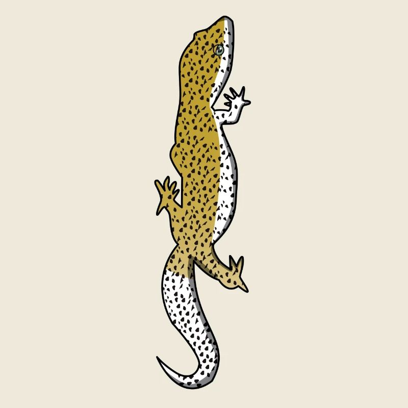 Lizard - Gecko - Reptile - Présent - Lézard