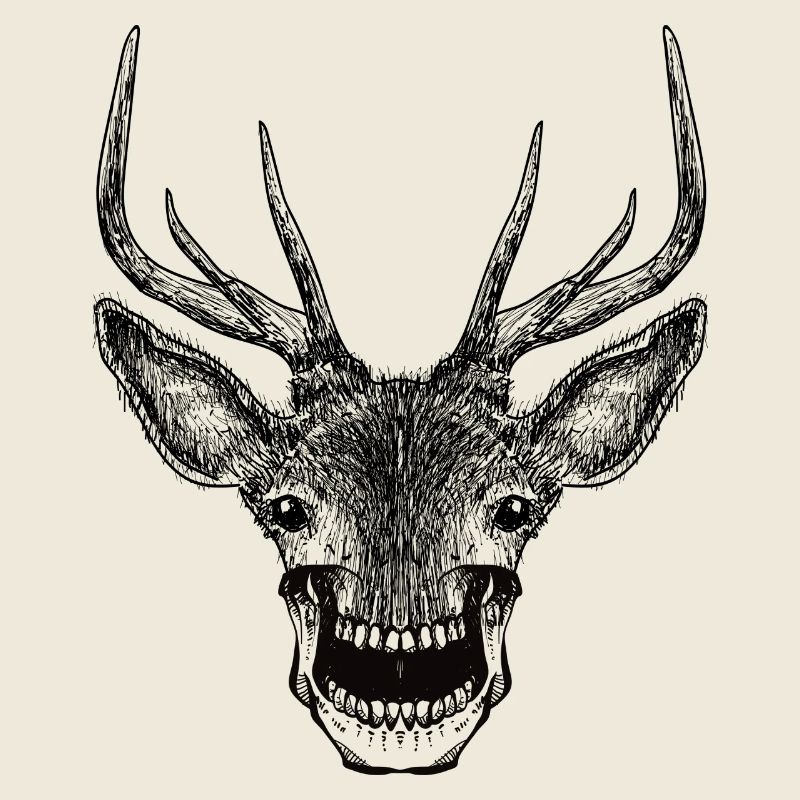 Deer Skull
