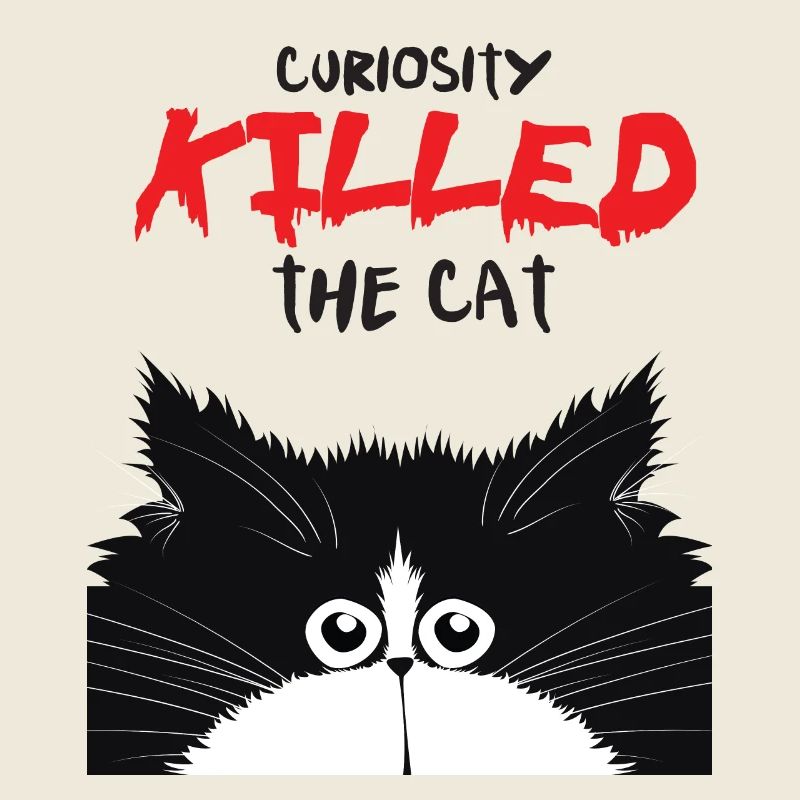 Curious cat