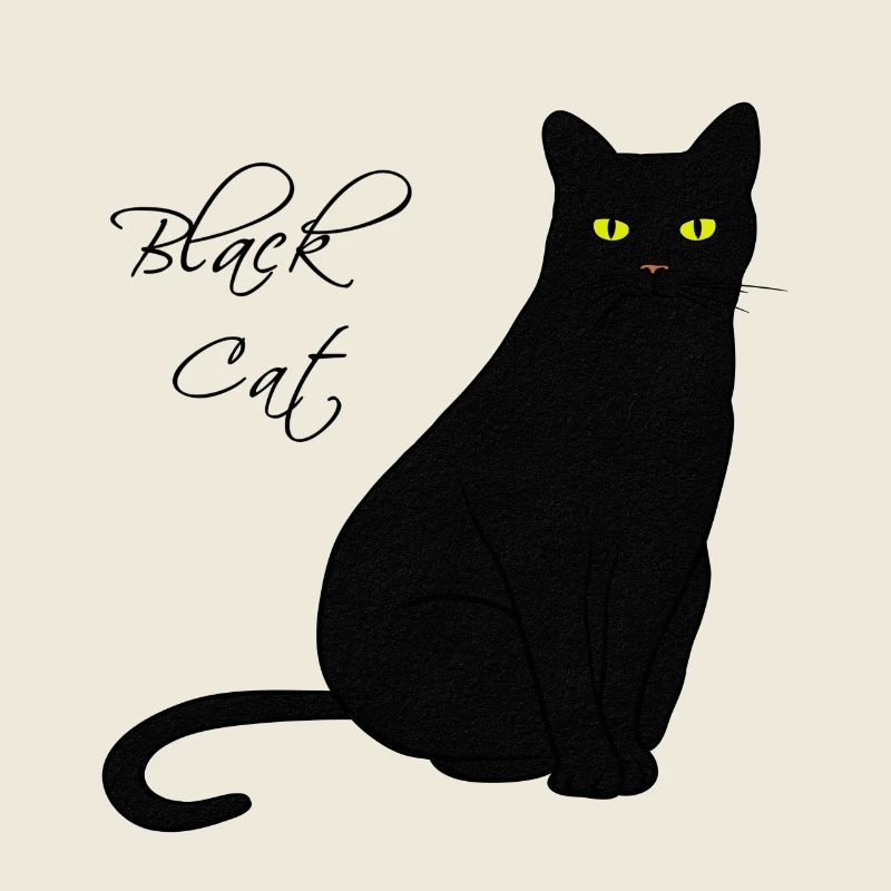 Black Cat