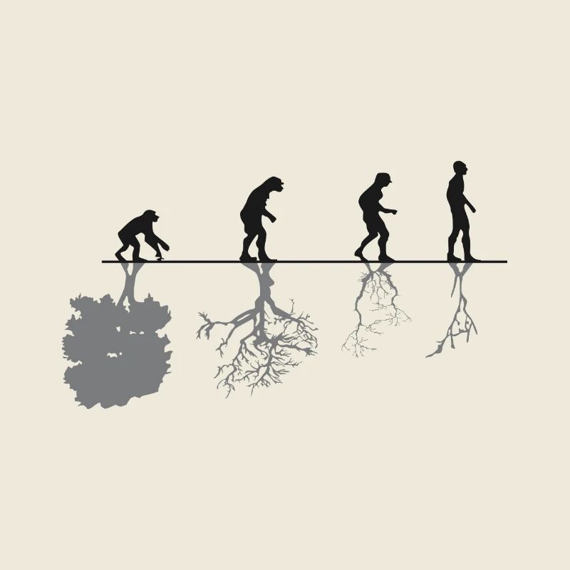 Evolution Black