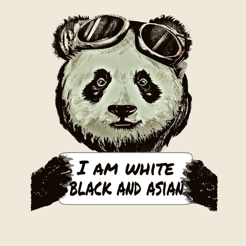 Cool Pilote Panda