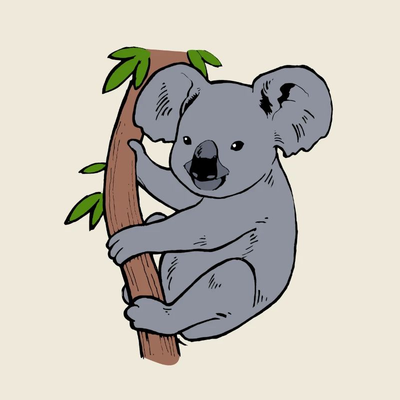 koala