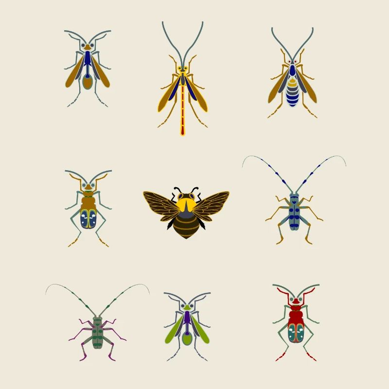 insects mosquitoes bee sting overview fly bug