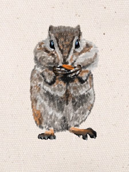 hamster