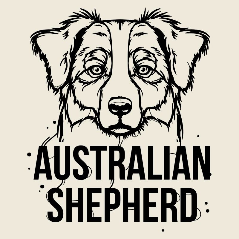 Australian Shepherd