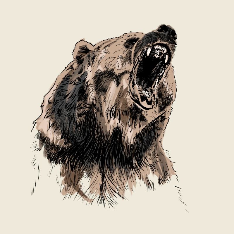 bear