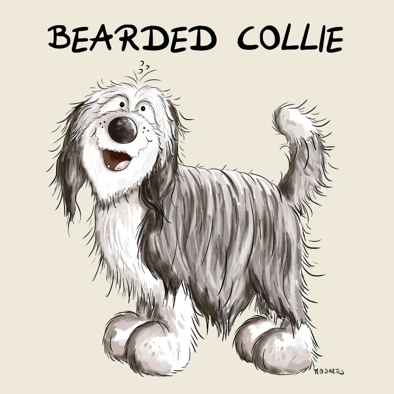 Mignon Bearded Collie