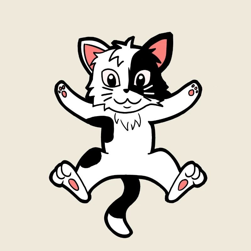 Kitten cat cats