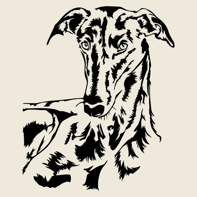 Tête de Galgo