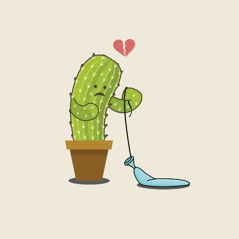 coeur brisé, cactus avec ballon