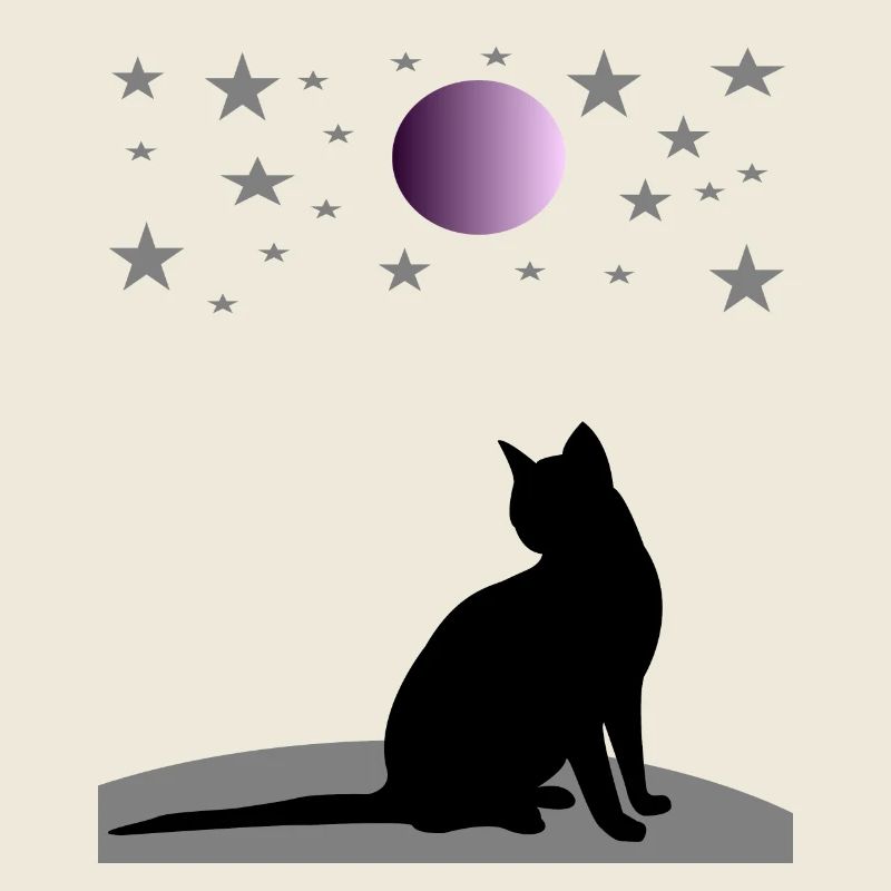 Starry sky with moon and cat