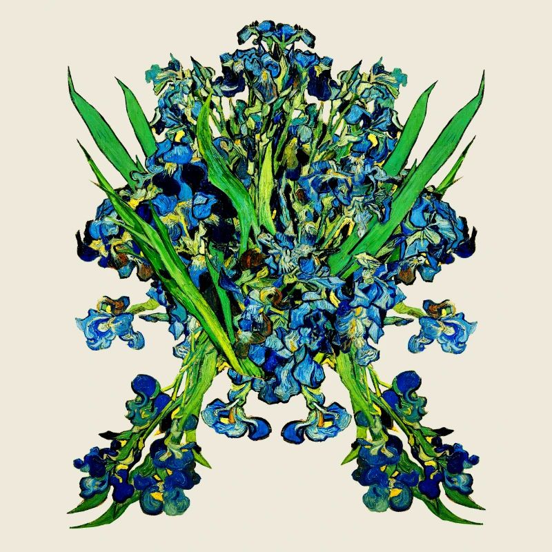 Vincent van Gogh Iris Iris | Jack Joblin