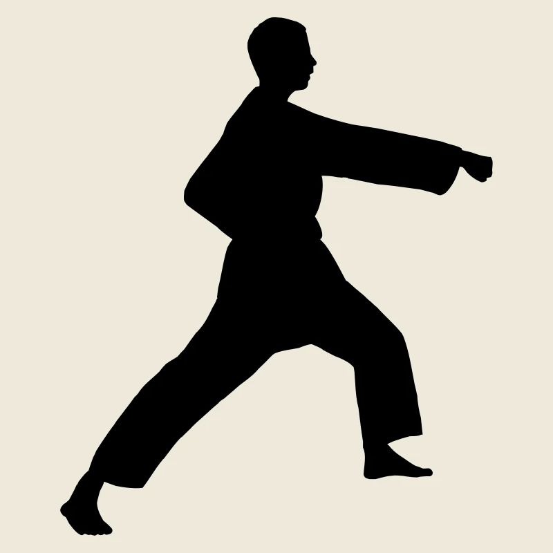 Punsch Karate oder Teakwondo Punsch