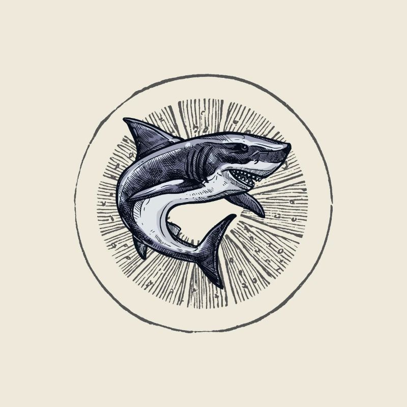 Dancing Shark