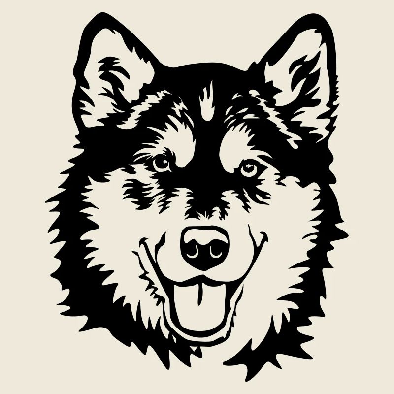 Alaskan Malamute head