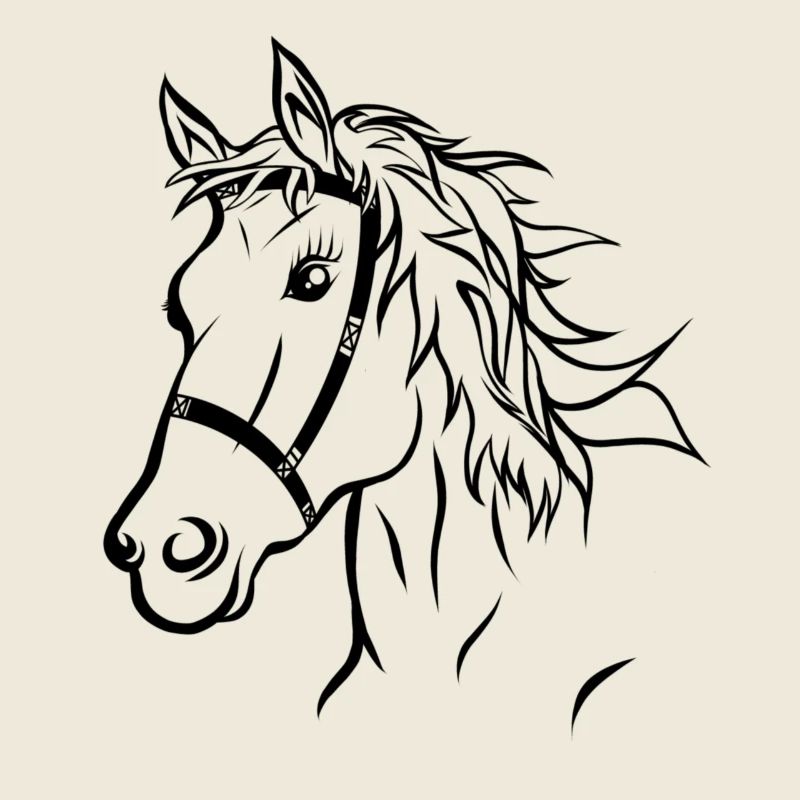 Pferdekopf Pferd Reiten Geschenk