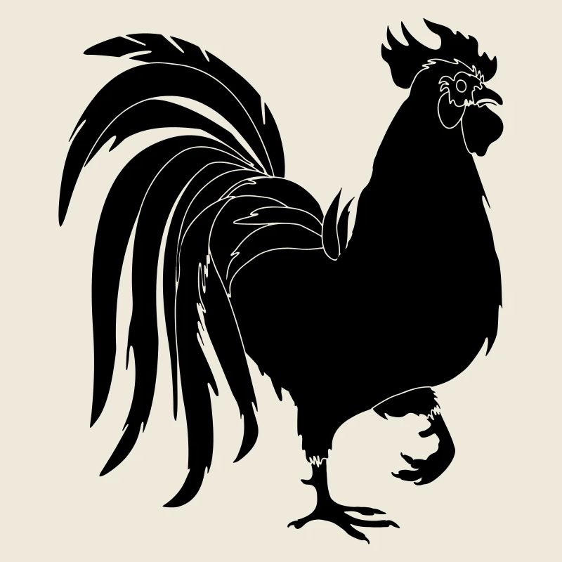 Coq noir