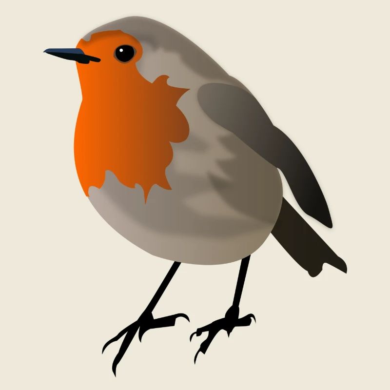 robin