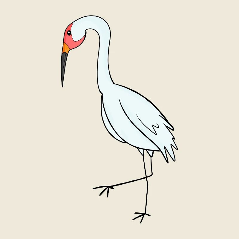 Migratory Birds Crane Bird