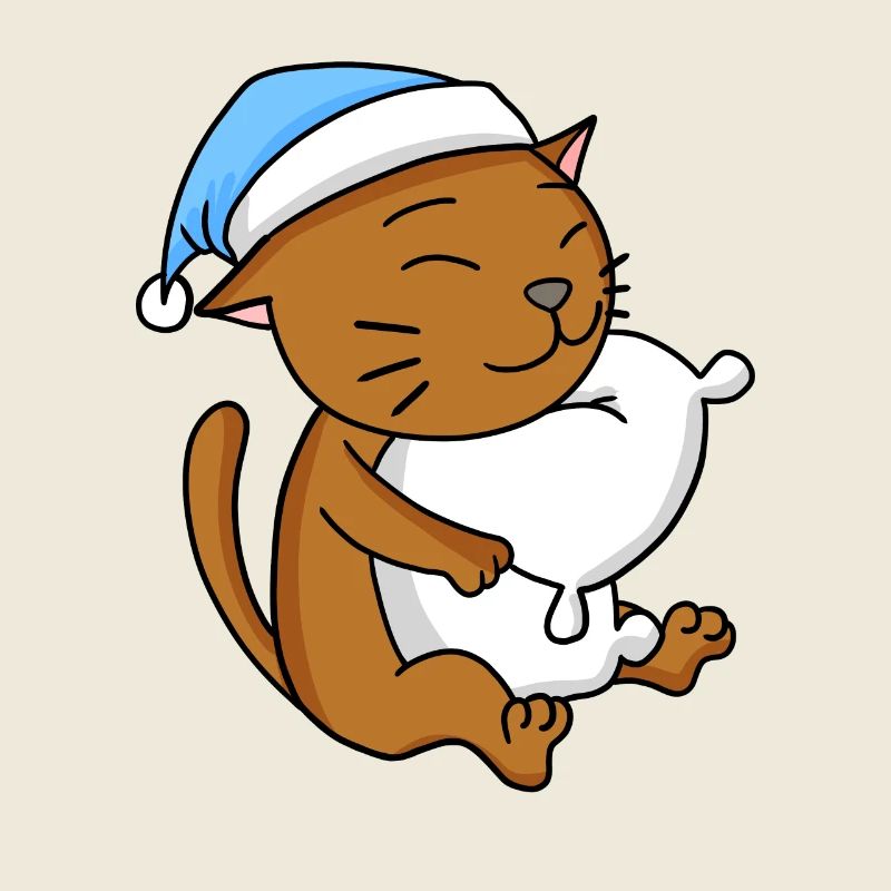 Chat race de chat Chat Abyssin