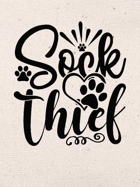 Sock Thief