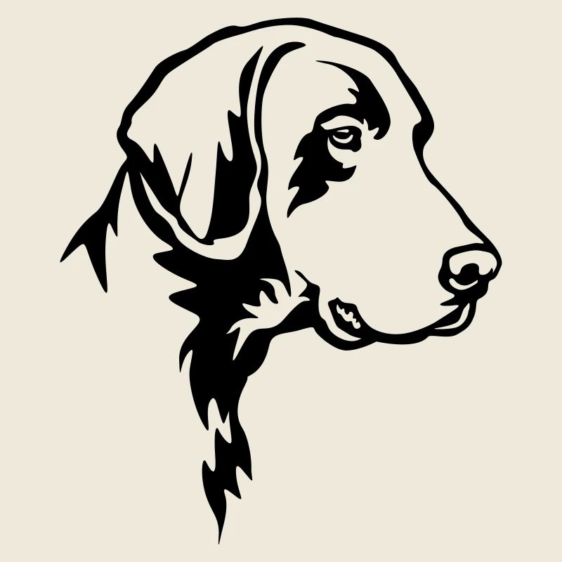 German Shorthair head