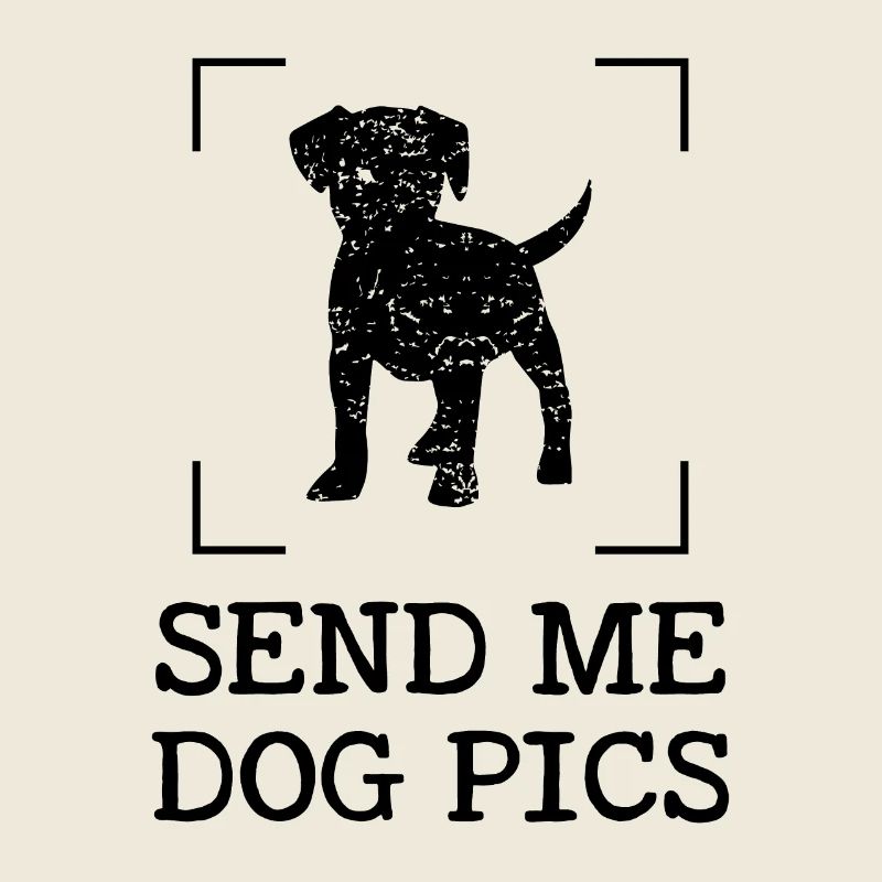 Schick mir Hundebilder