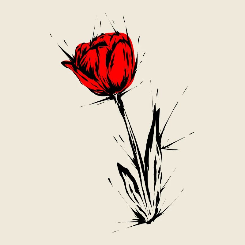 Tulipe