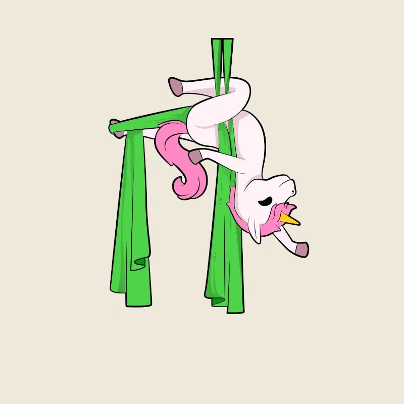 Aerial Silk Unicorn