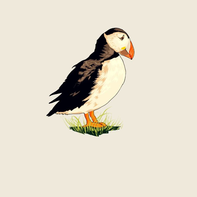 Dessin du macareux