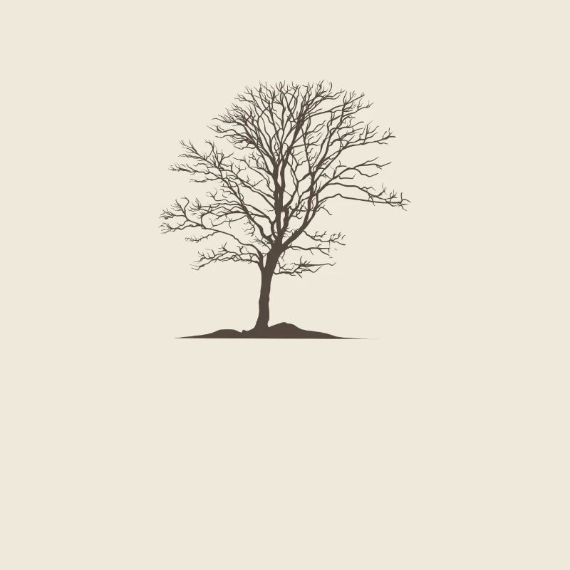 Tree without leaves Nature Forests Environment