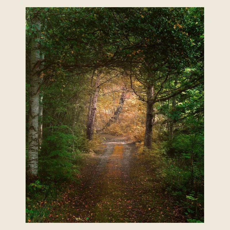 Wald