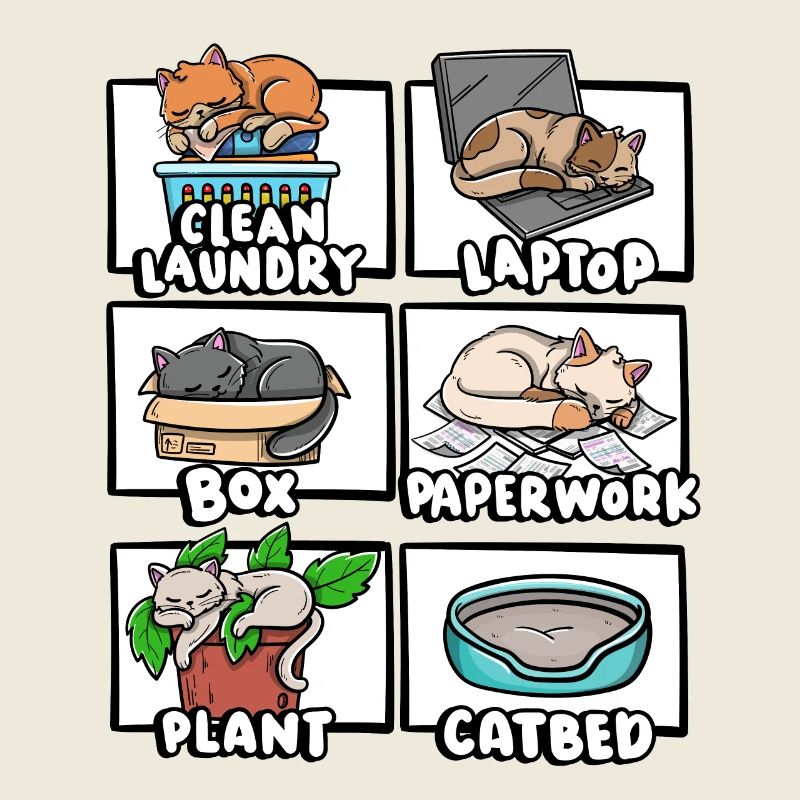Clean Laundry Box Cat Bed Kitten Lover Sleepy