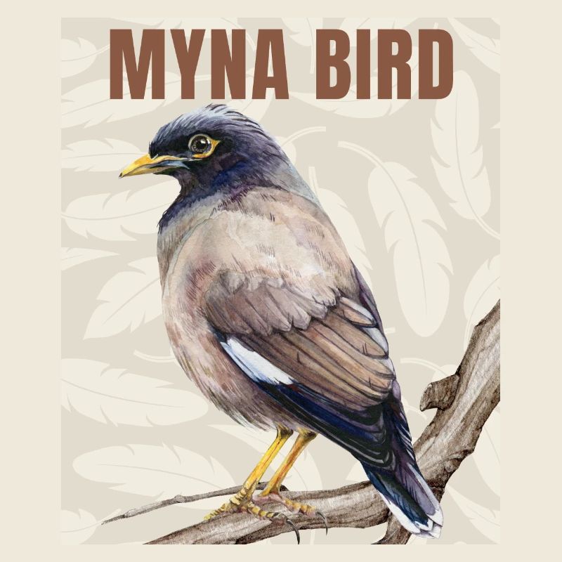 Myna Bird Collection – Eleganz trifft auf Ätherisches