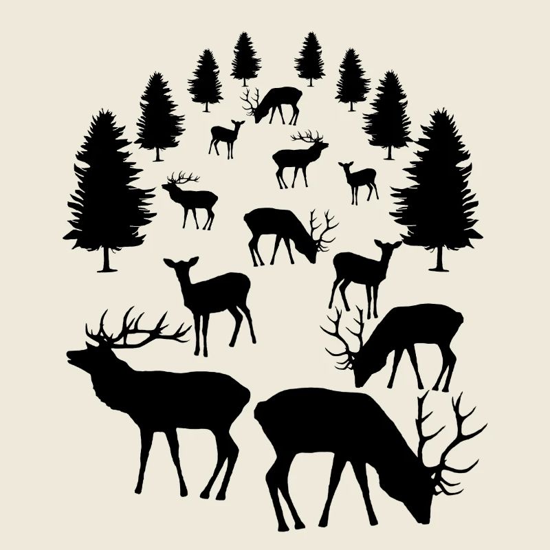 Deer, roe deer, red deer, fallow deer, deer, roebuck