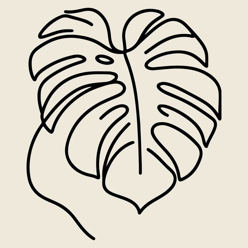 Monstera