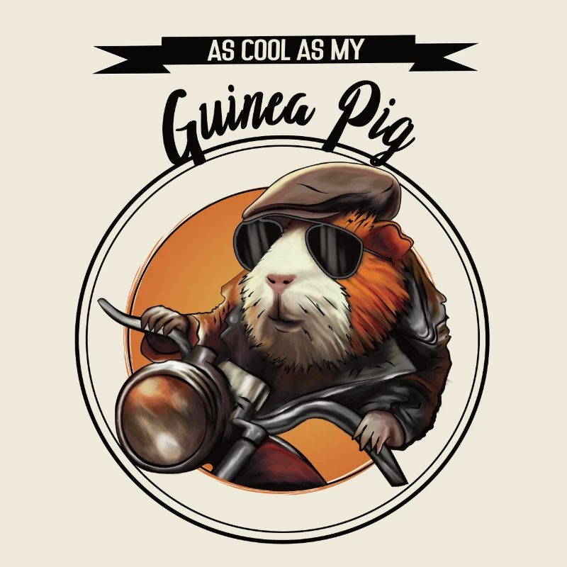 Cobaye cool – design statement