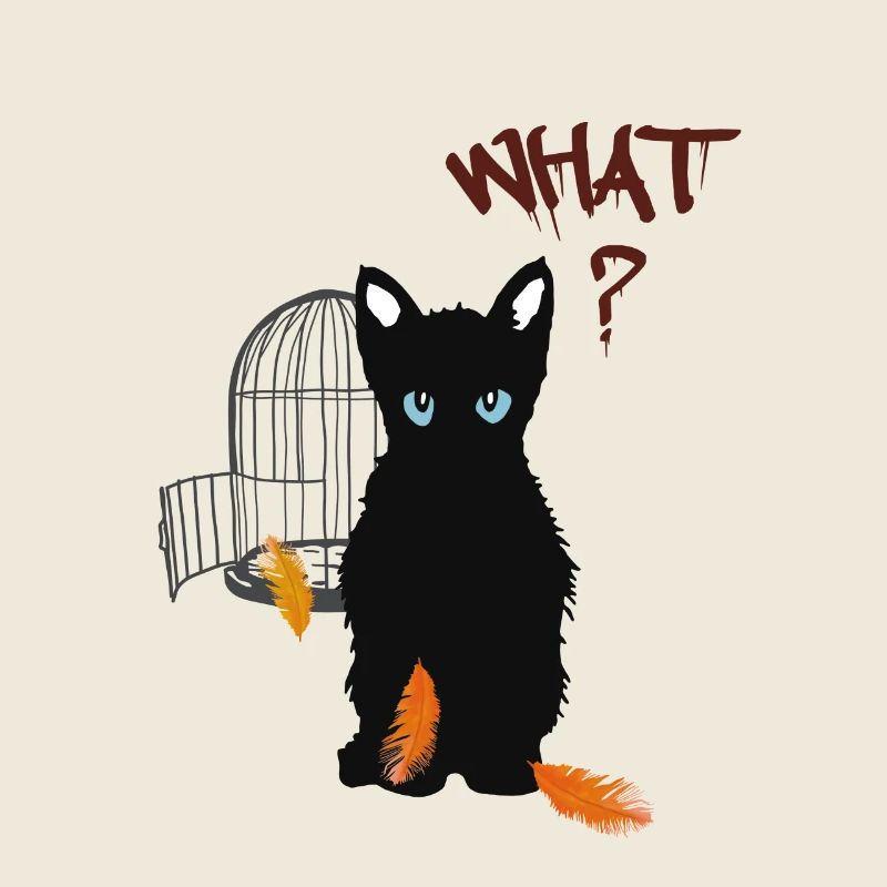 Little black cute kitten and bird