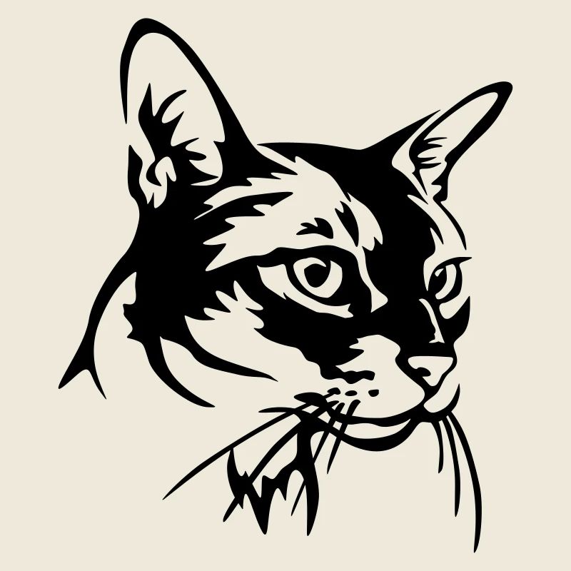 Chat abyssin