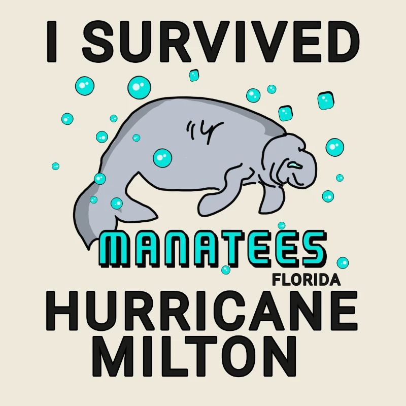 I survived Hurricane Milton Manatee