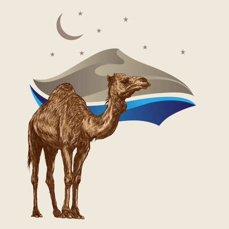 Desert Magic – Camel under the Stars