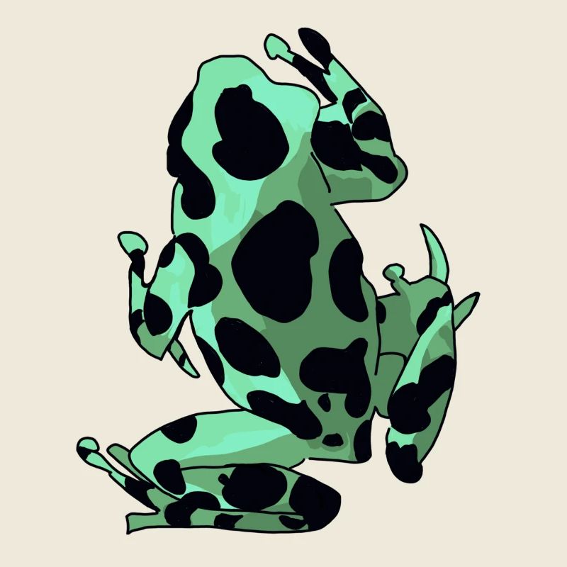Frosch & Kröte