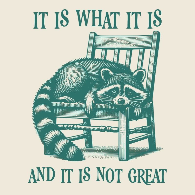C’est ce que c’est et ce n’est pas un grand raton laveur cool