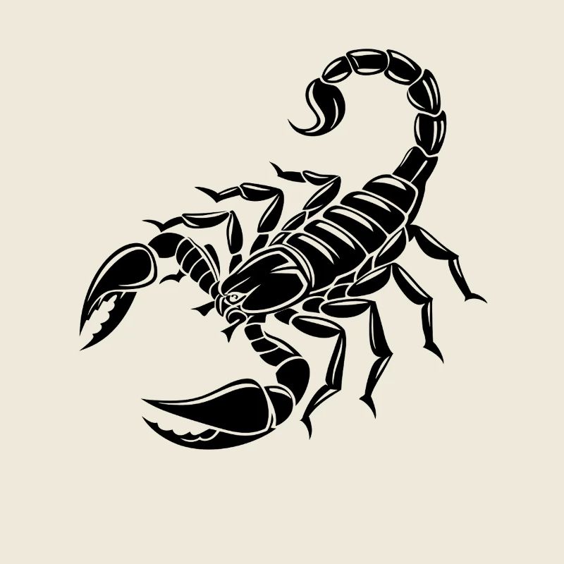 Skorpion - Giftstachel - Artenschutz - Lebensraum