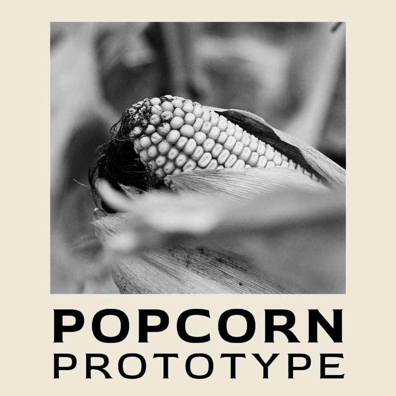 Monochrome corn cob in focus