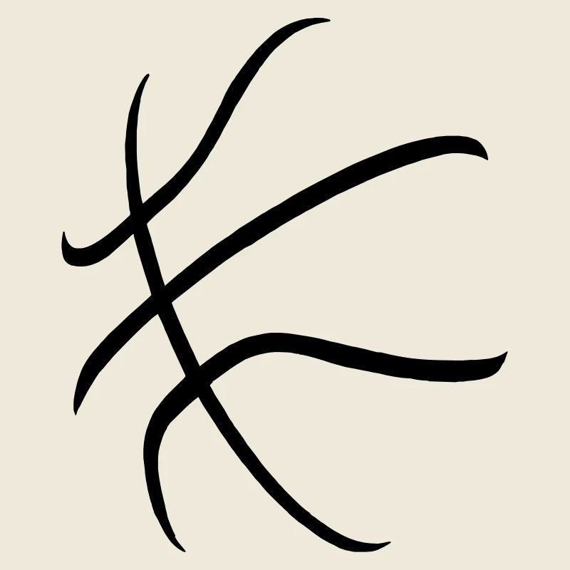 Basket-ball