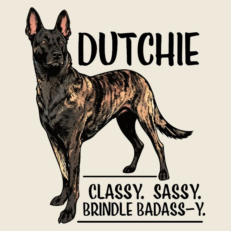 Dutchie - Holländischer Schäferhund