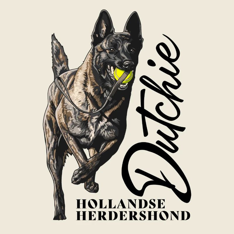 Dutch Shepherd – Dutchie